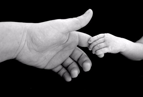 Parent and child hands